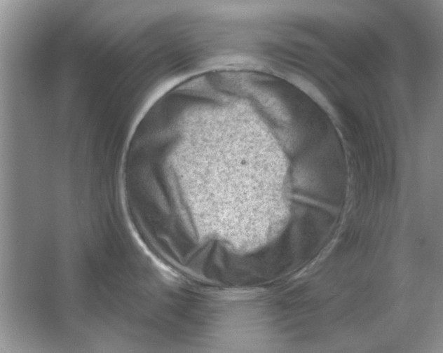 X0000063531440200602102006