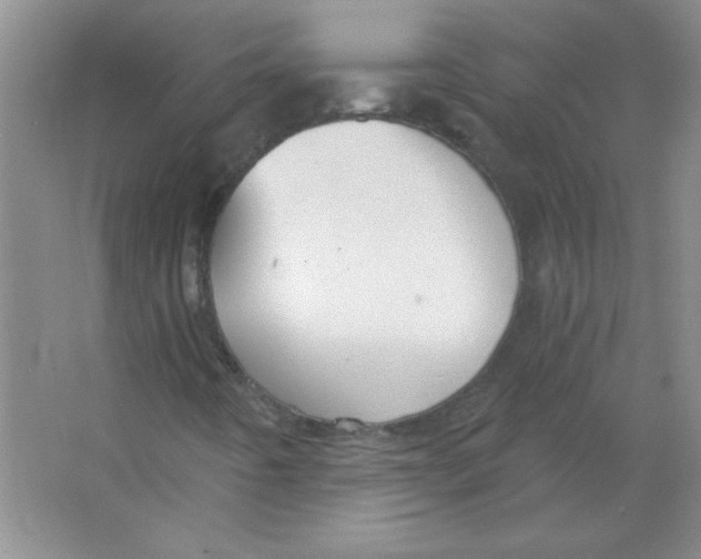 X0000063531442200602102005