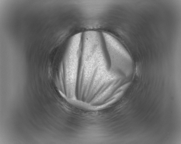 X0000063531444200602102005