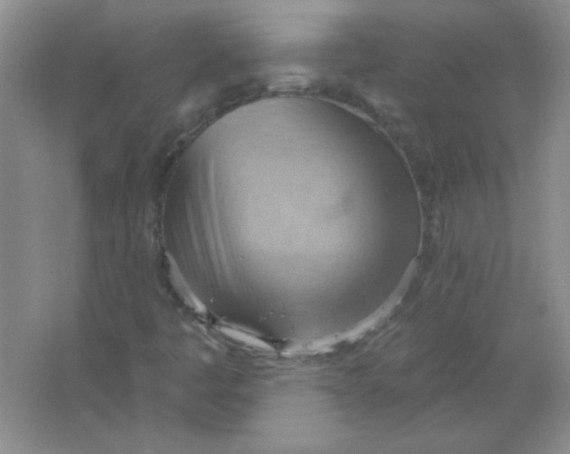 X0000063531445200602102005