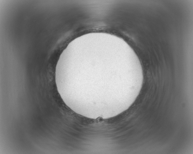 X0000063531447200602102005