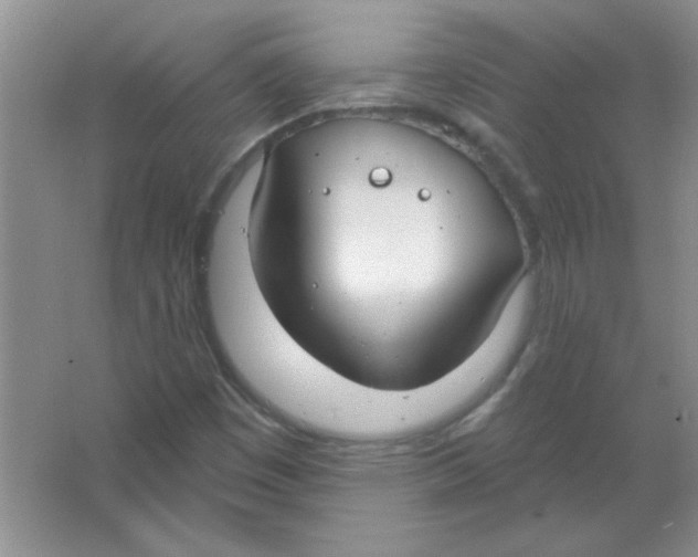 X0000063531449200602102005