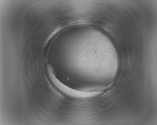 X0000063531450200602102005