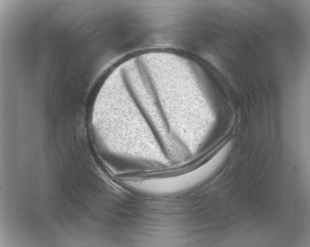 X0000063531452200602102005