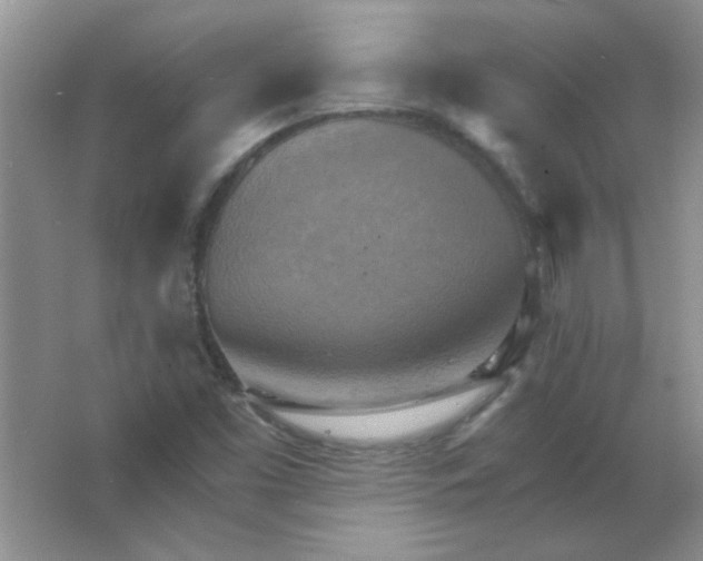 X0000063531453200602102005