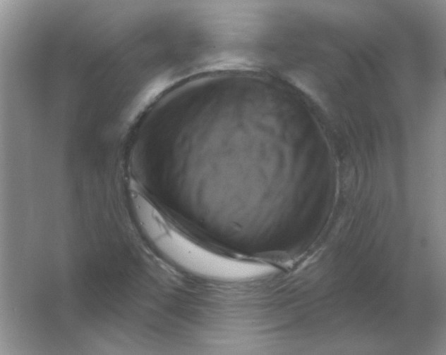 X0000063531455200602102005