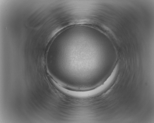 X0000063531457200602102005