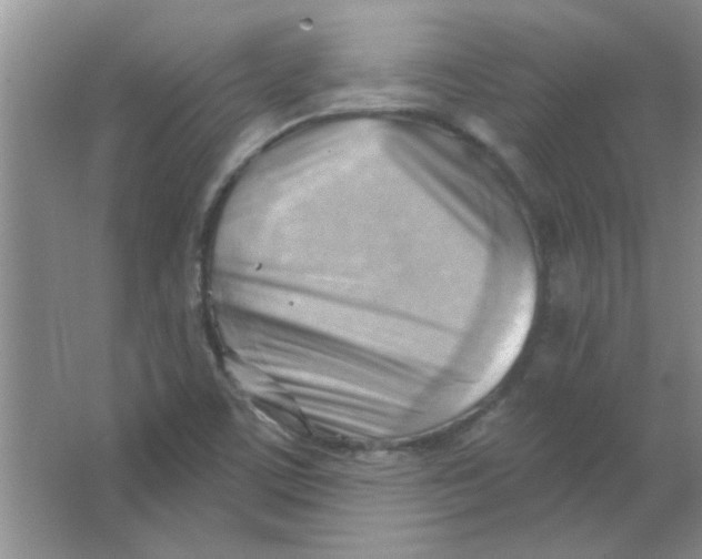 X0000063531459200602102005