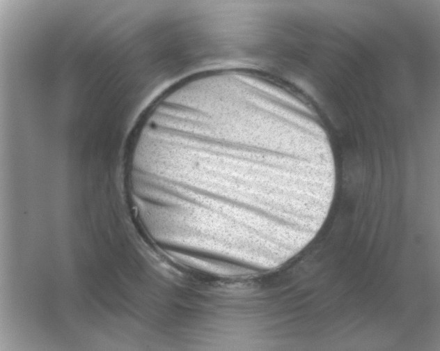 X0000063531460200602102005