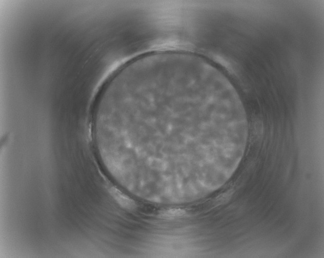 X0000063531462200602102005