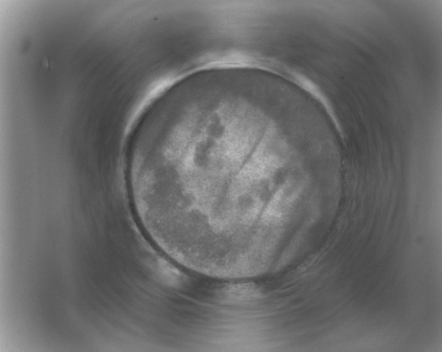 X0000063531464200602102005