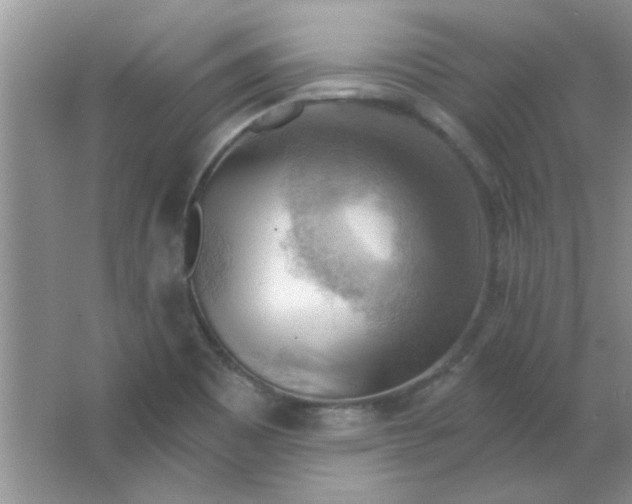 X0000063531465200602102005