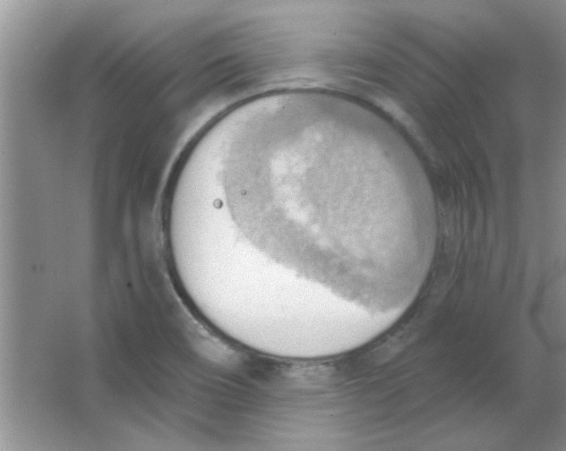 X0000063531466200602102005