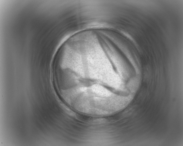 X0000063531467200602102005