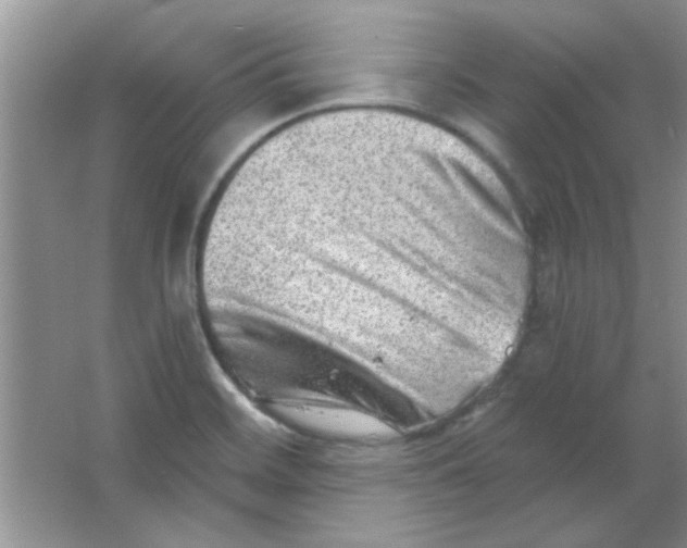 X0000063531468200602102005