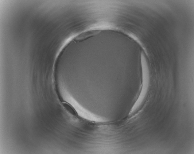 X0000063531469200602102005