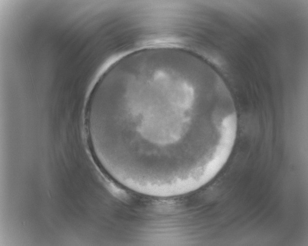 X0000063531470200602102005