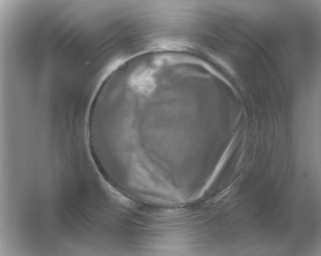 X0000063531471200602102005