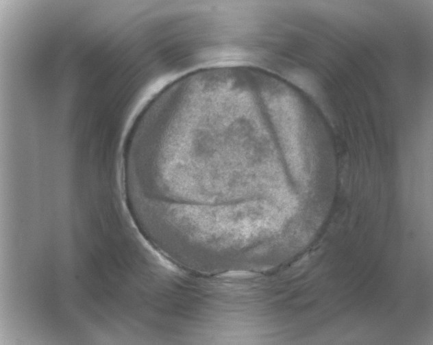 X0000063531472200602102005