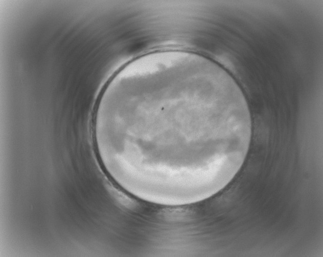 X0000063531474200602102004