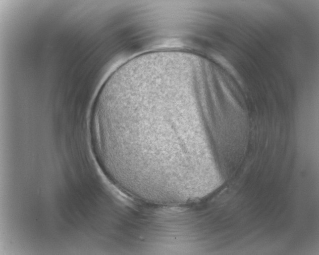 X0000063531475200602102004