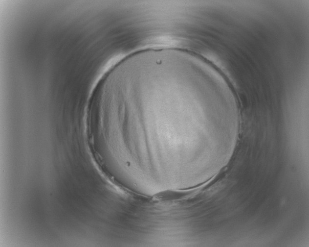 X0000063531477200602102004