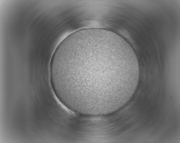 X0000063531479200602102004