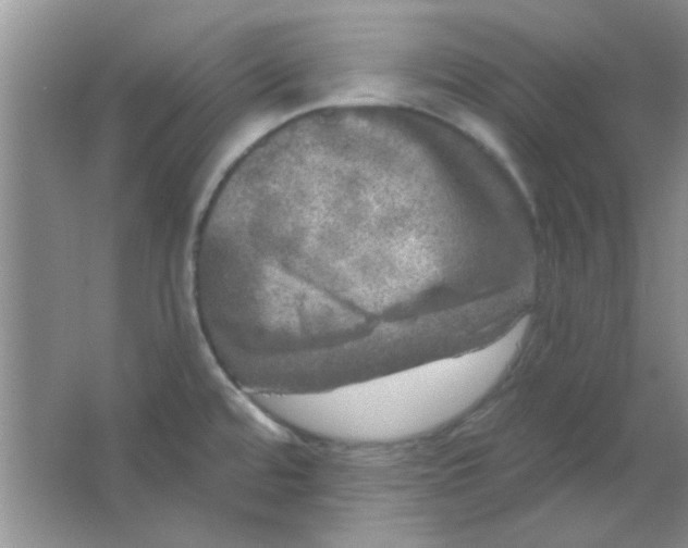 X0000063531480200602102004