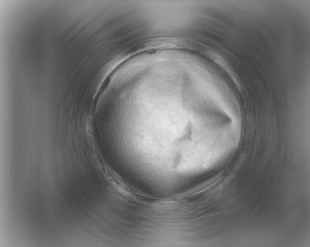 X0000063531481200602102004