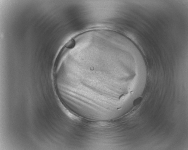 X0000063531482200602102004