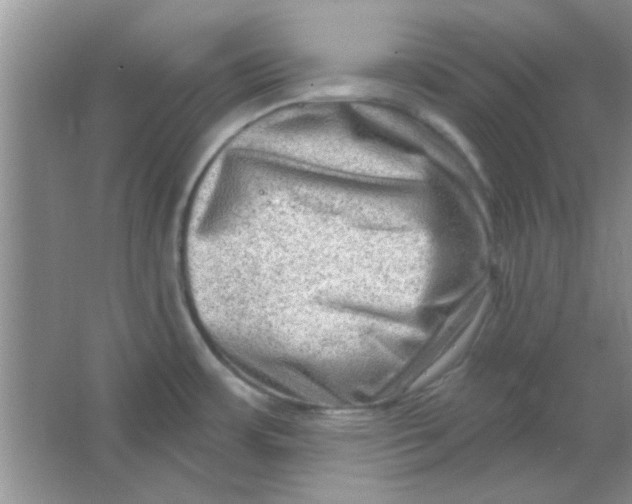 X0000063531483200602102004