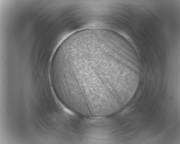 X0000063531486200602102004