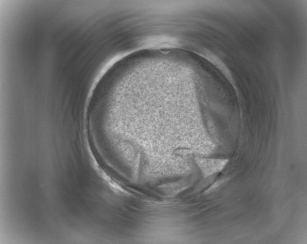 X0000063531488200602102004