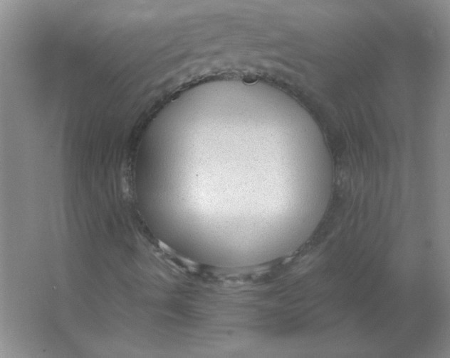 X0000063531490200602102003