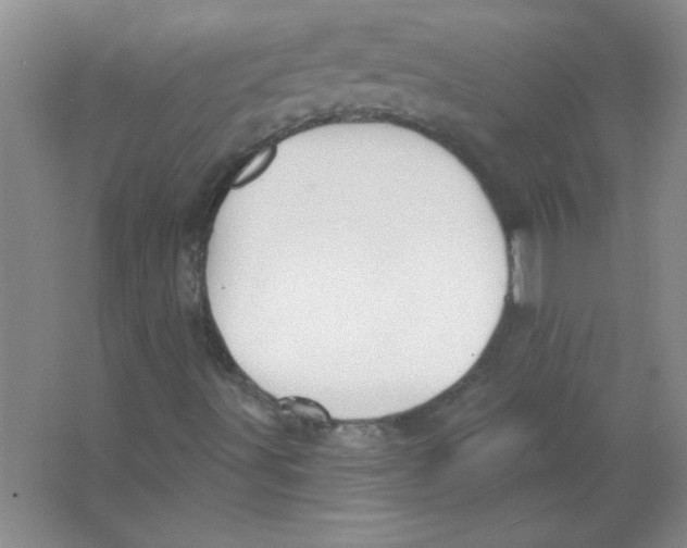 X0000063531491200602102003