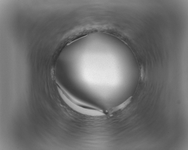 X0000063531492200602102004