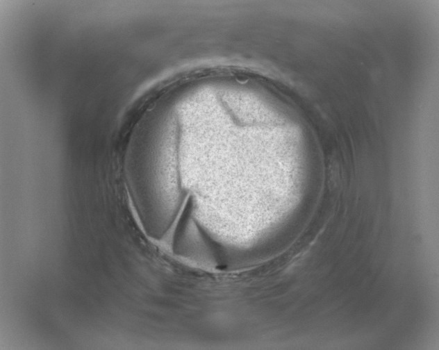 X0000063531494200602102004