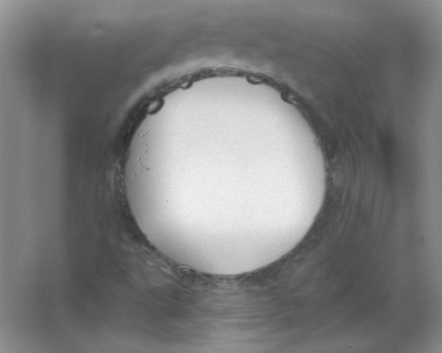 X0000063531495200602102004