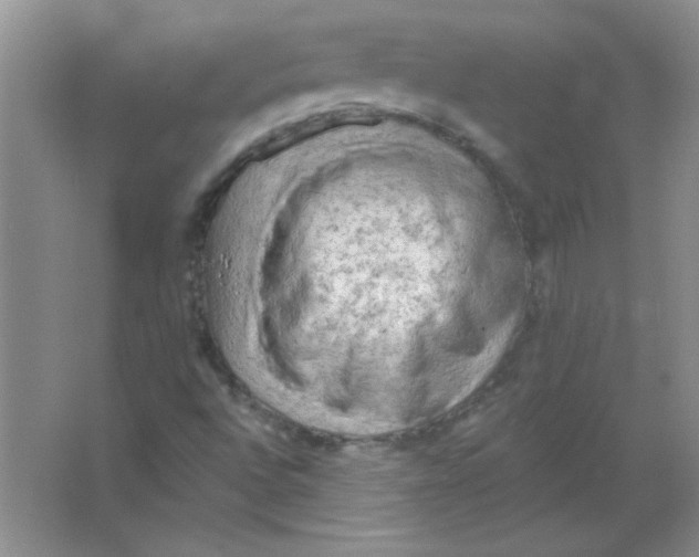 X0000063531496200602102004