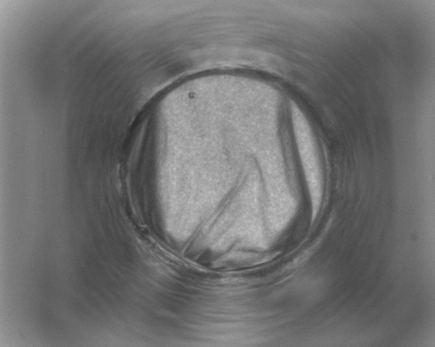 X0000063531497200602102004