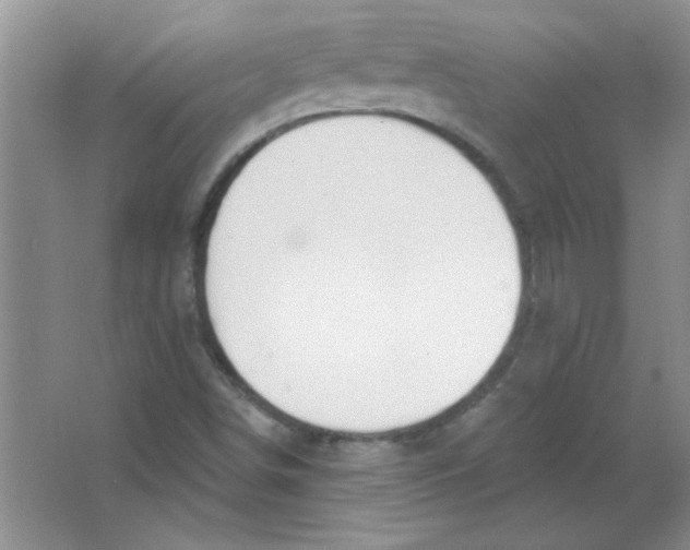 X0000063531498200602102004