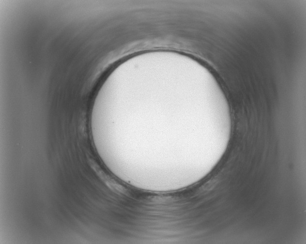 X0000063531499200602102004