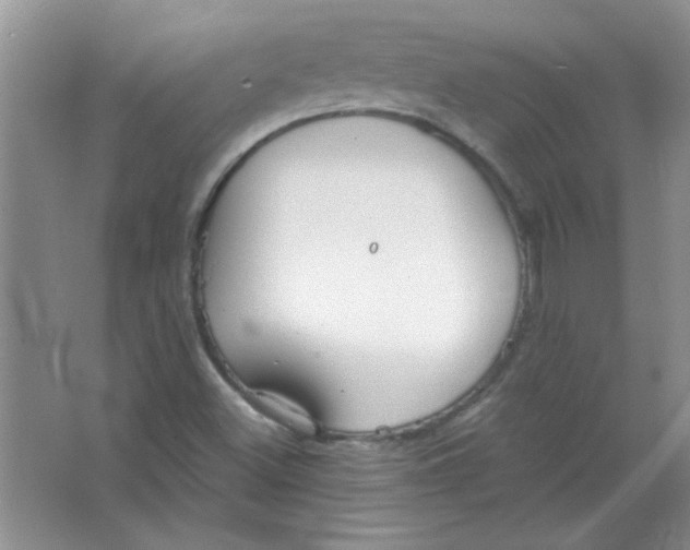 X0000063531500200602102004