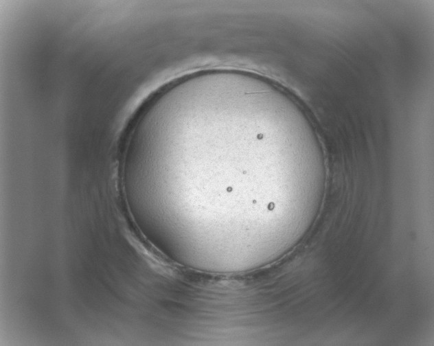 X0000063531503200602102004