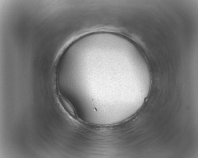 X0000063531504200602102004