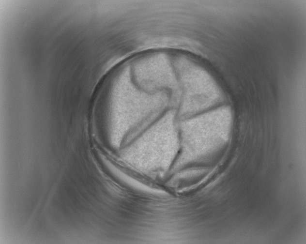 X0000063531505200602102004