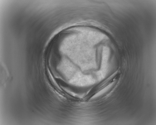 X0000063531506200602102004