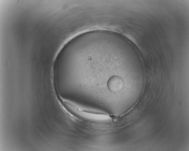 X0000063531508200602102004