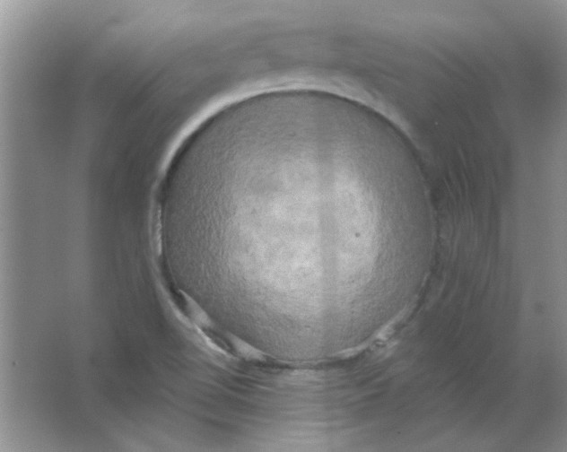 X0000063531510200602102004