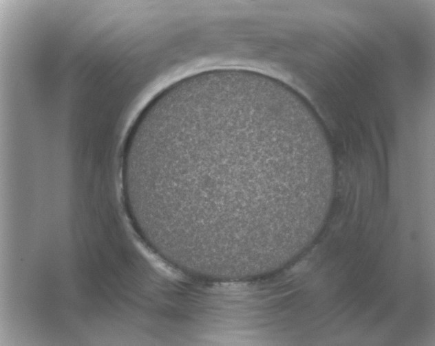 X0000063531511200602102004